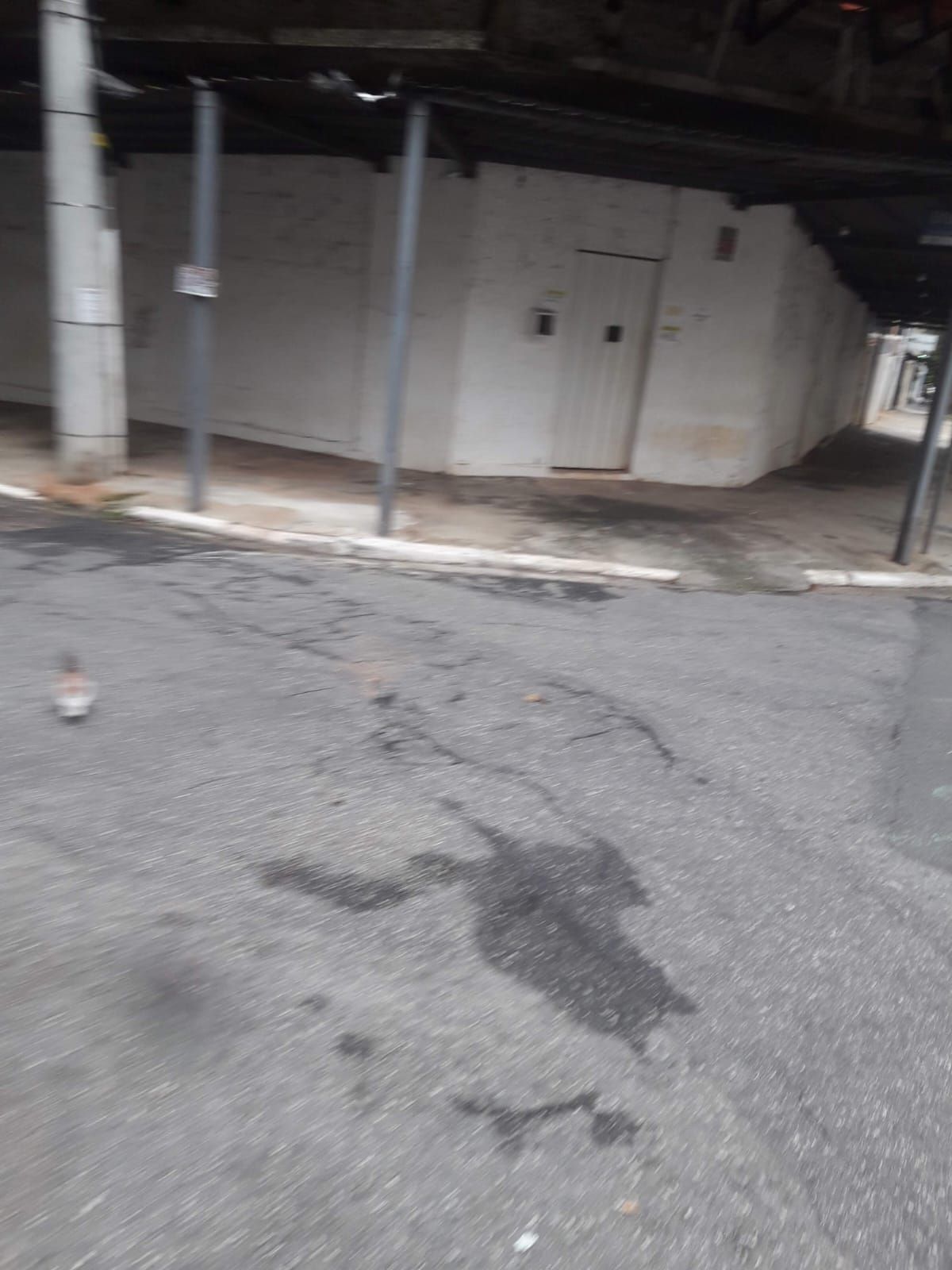 Prédio Rua França Pinto — registro 11